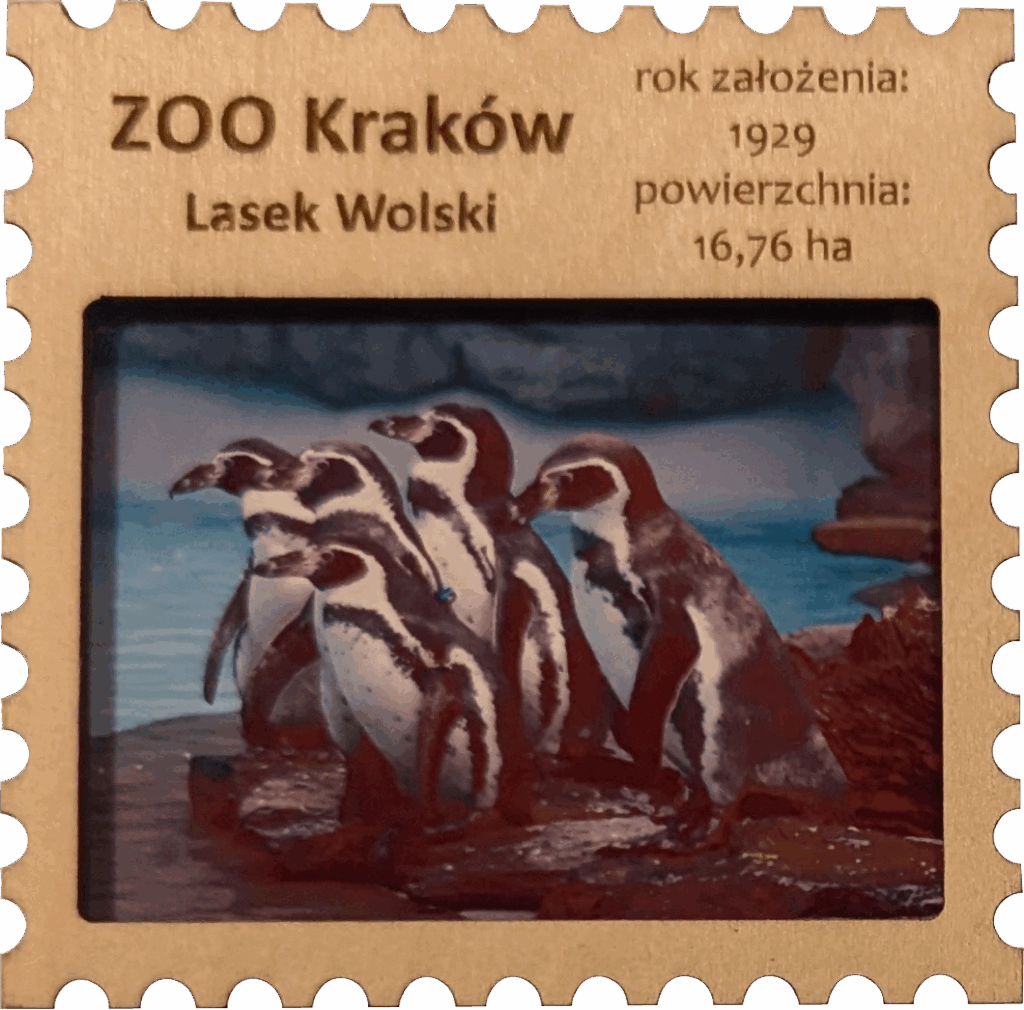 023. Zoo w Krakowie - 03.09.2021