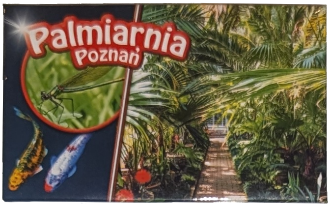 035. Palmiarnia w Poznaniu - 31.01.2023