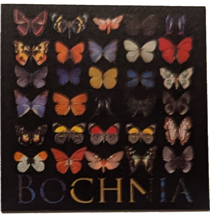 041. Muzeum motyli w Bochni - 16.04.2023