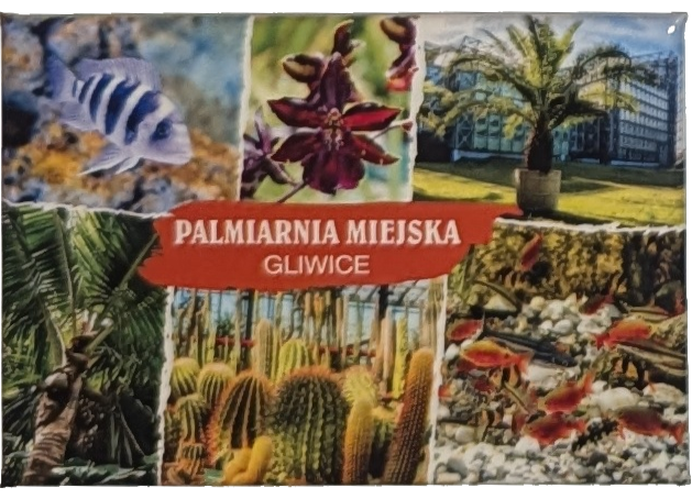045. Palmiarnia w Gliwicach - 07.05.2023