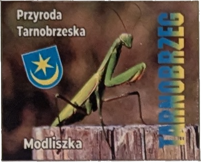 142. Muzeum Przyrodnicze - 22.06.2025