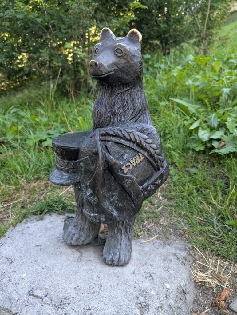 14. Miś Generał
