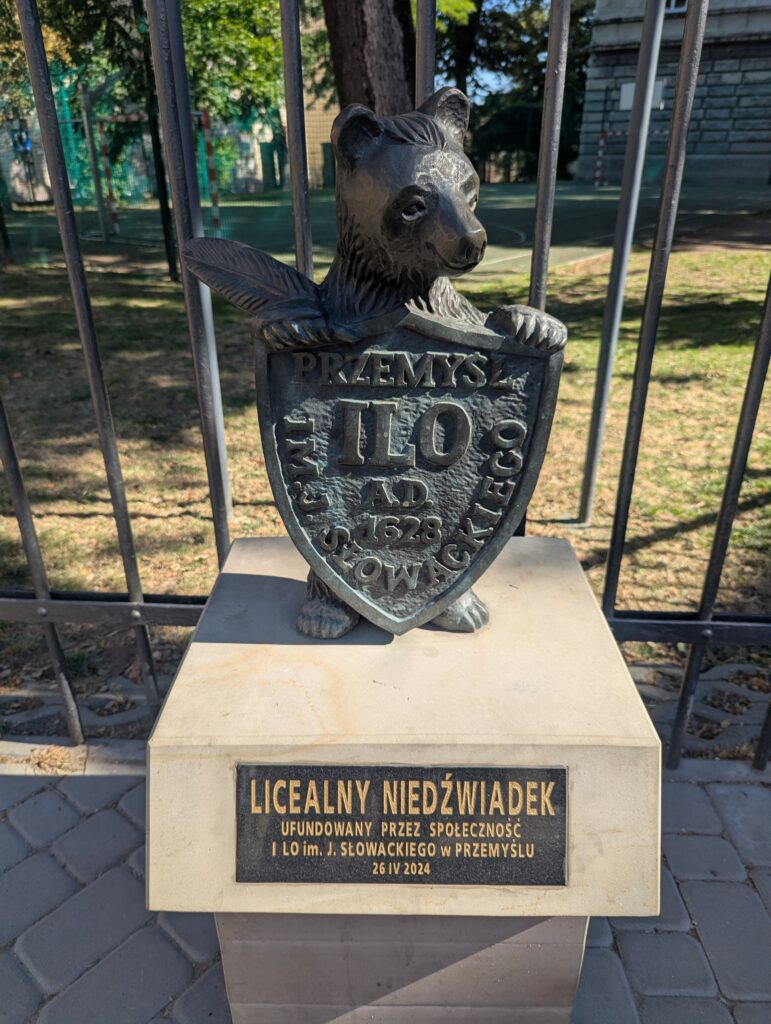 23. Miś Licealista